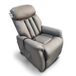 Ronan Riser Recliner